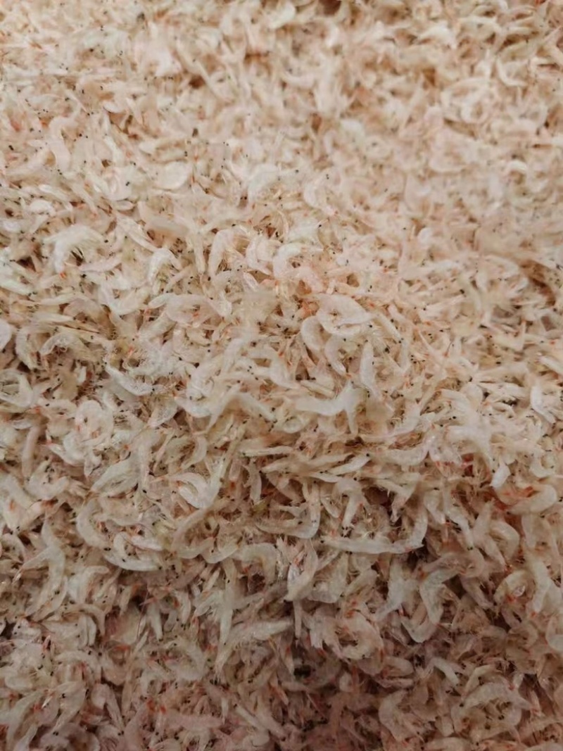 博拓商贸：探索新时代贸易风向标